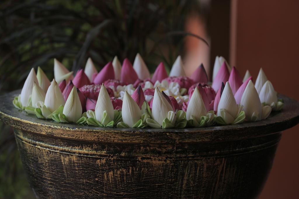 Kouprey Hotel Siem Reap Bagian luar foto